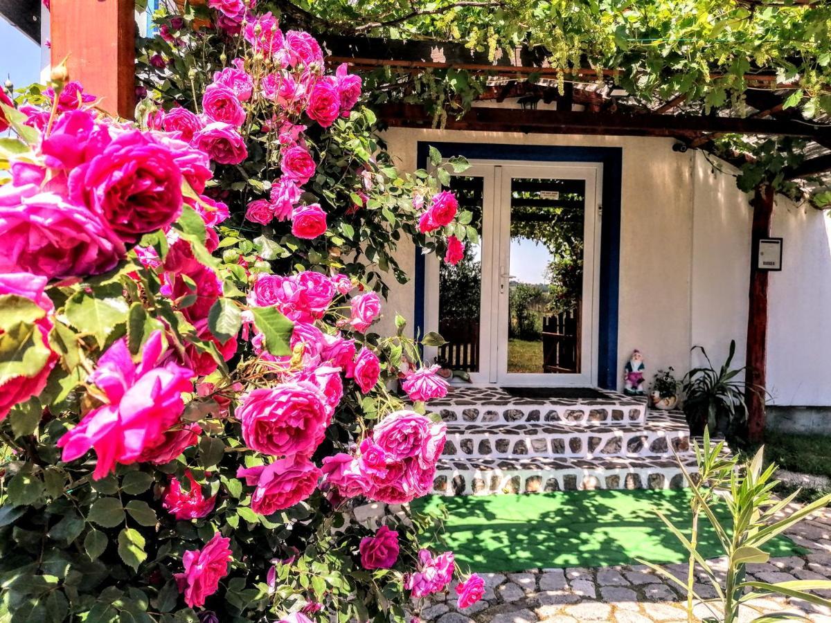 Teo Guest Rooms Baile Felix Exterior photo